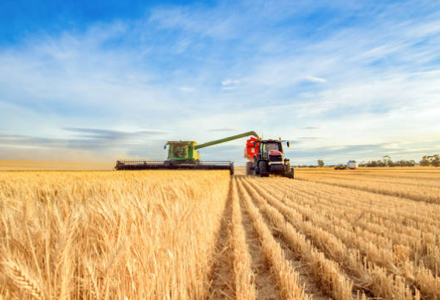 Agriculture
